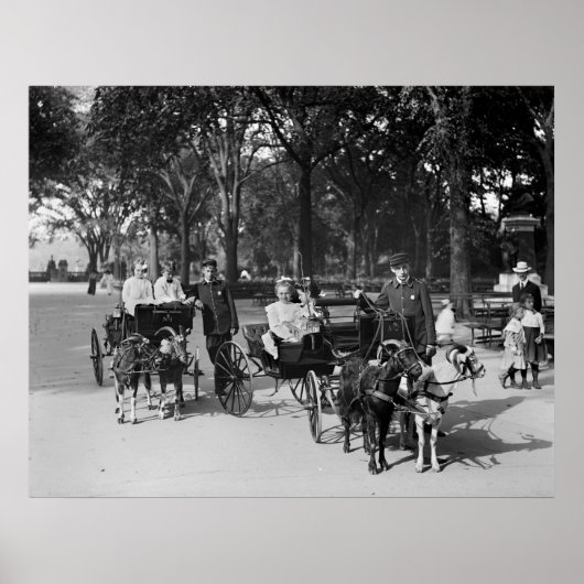 Goat Carriage Ride, begin jaren '00 Poster (Voorkant)