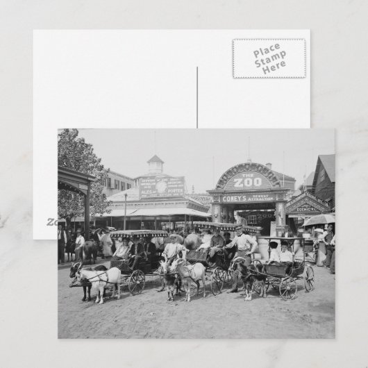 Goat Carriages op Coney Island, 1910 Briefkaart (Voorkant / Achterkant)