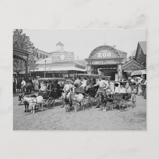 Goat Carriages op Coney Island, 1910 Briefkaart (Voorkant)