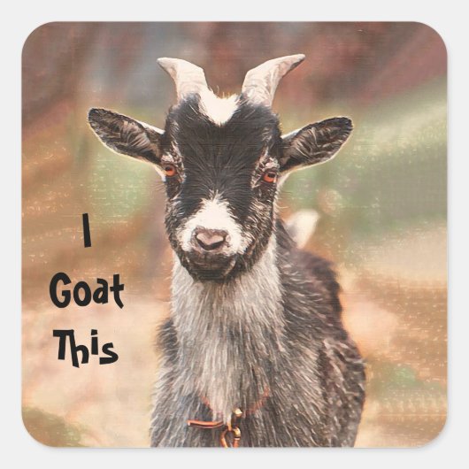 Goat Cute Funny, ik ga hier naartoe Vierkante Sticker (Voorkant)