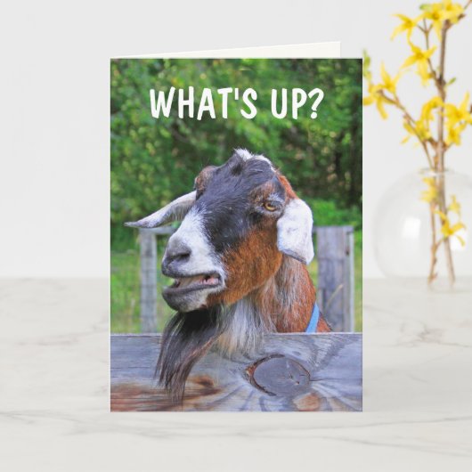 Goat denking van jou kaart (Gele Bloem)