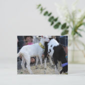 Goat Duo Briefkaart (Staand voorkant)