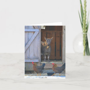 Goat en Chicken Farmyard Note Card Kaart