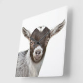 Goat farm animal fotografie peekaboo modern vierkante klok (Hoek)