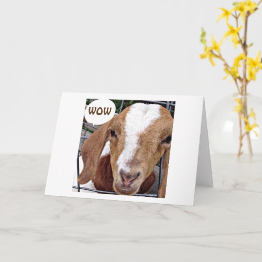 GOAT IS NIET KIDEND WANNEER HIJ ZEI: "ZOU U HET HE KAART (Gele Bloem)