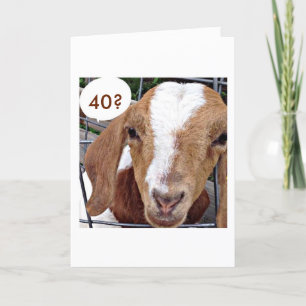 GOAT=JE MOET ME '40e BIRTHDAY' BEHOUDEN. Kaart