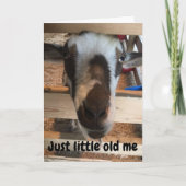 GOAT MAKEN VAN U OP JE **60th** BIRTHDAY Kaart (Voorkant)