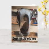 GOAT MAKEN VAN U OP JE **60th** BIRTHDAY Kaart (Gele Bloem)