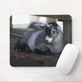 Goat Mousepad Muismat (Met muis)