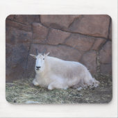 Goat Mousepad Muismat (Voorkant)