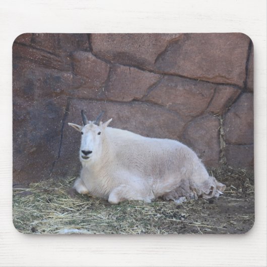 Goat Mousepad Muismat (Voorkant)