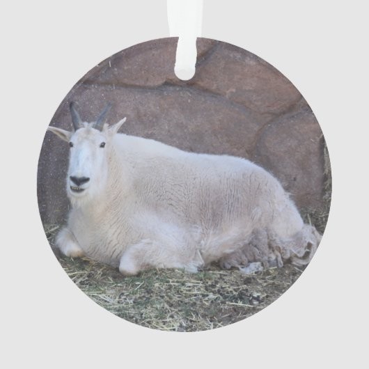 Goat Ornament (achterkant)