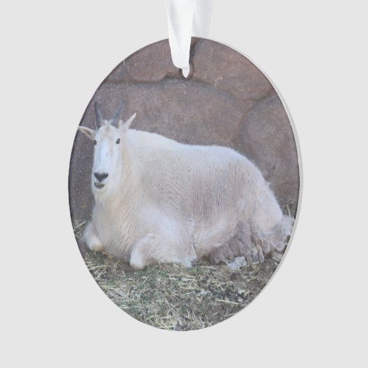 Goat Ornament (voorkant)