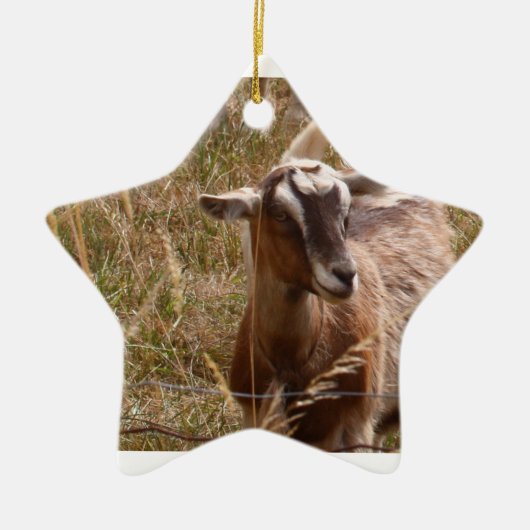 Goat Ornament (Voorkant)