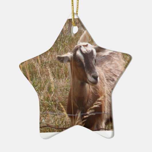 Goat Ornament (Links)