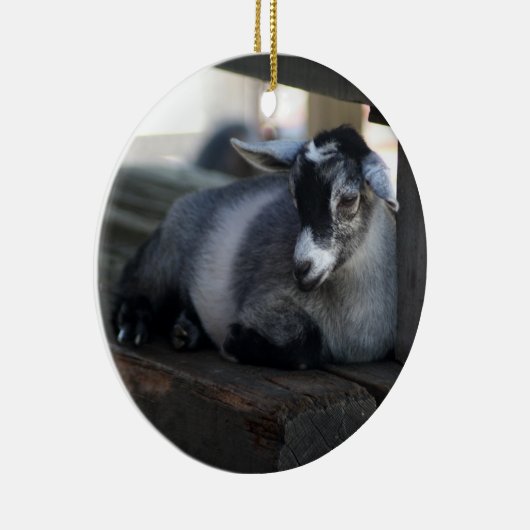 Goat Ornament (Rechts)