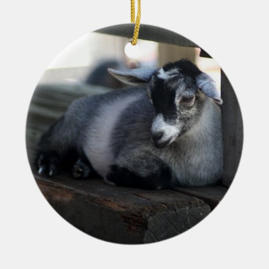 Goat Ornament (Voorkant)