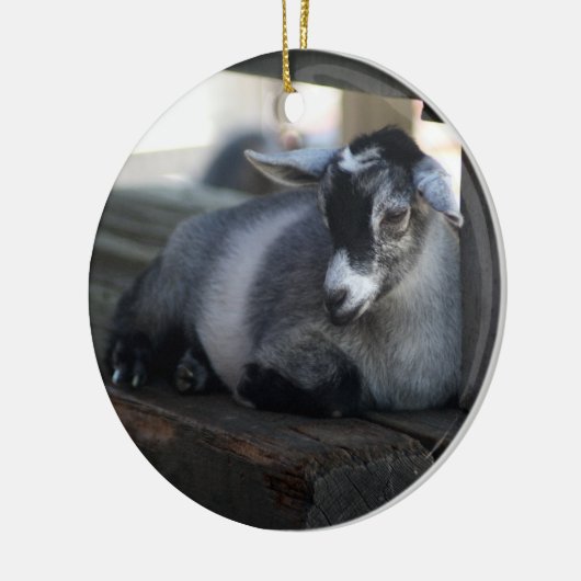 Goat Ornament (Links)