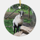 Goat Ornament (Voorkant)