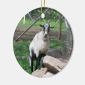 Goat Ornament (Links)