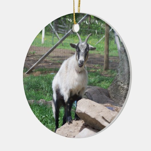 Goat Ornament (Links)