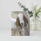 Goat Portrait Briefkaart (Staand voorkant)