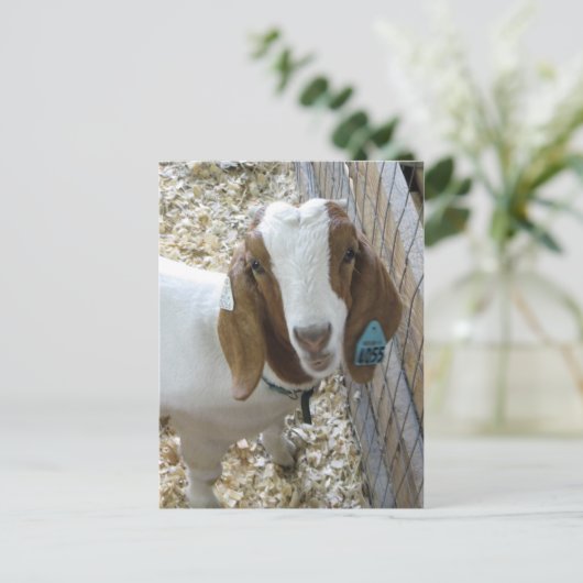 Goat Portrait Briefkaart (Staand voorkant)