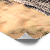 Goat Rustic Vintage Country Farm Animal Poster (Hoek)