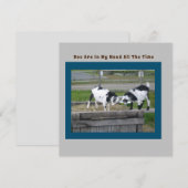 Goat Sense-Kaart (Voorkant / Achterkant)