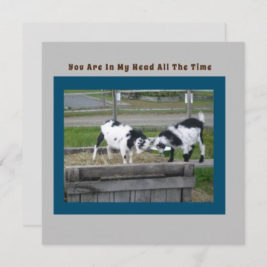 Goat Sense-Kaart (Voorkant / Achterkant)