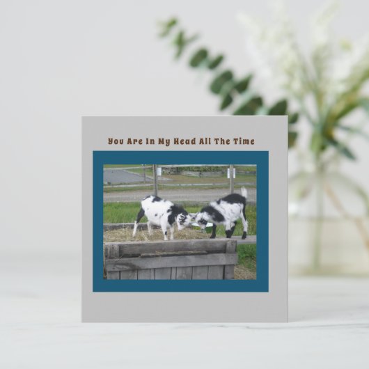 Goat Sense-Kaart (Staand voorkant)