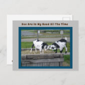 Goat Sense Post Card Briefkaart (Voorkant / Achterkant)