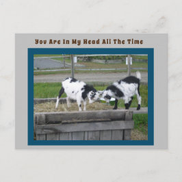 Goat Sense Post Card Briefkaart