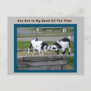 Goat Sense Post Card Briefkaart