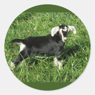 Goat Stickers set van 20