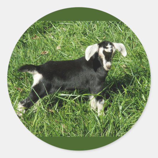 Goat Stickers set van 20 (Voorkant)