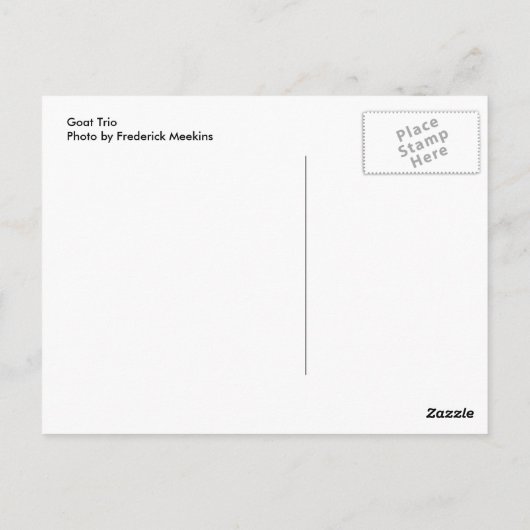 Goat Trio Briefkaart (Achterkant)