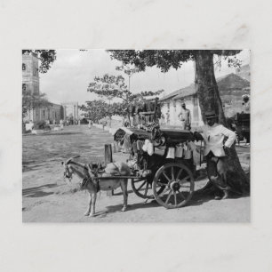 Goat Wagon Peddler, Cuba: 1920 Briefkaart