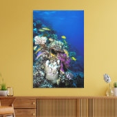 Goatfish Swarm Around Small Coral Canvas Afdruk (Insitu (Woonkamer))
