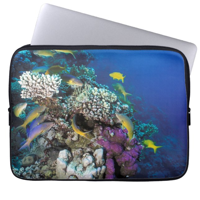 Goatfish Swarm Around Small Coral Laptop Sleeve (Voorkant)