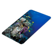 Goatfish Swarm Around Small Coral Magneet (Linkerzijde)