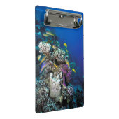 Goatfish Swarm Around Small Coral Mini Klembord (Schuin)