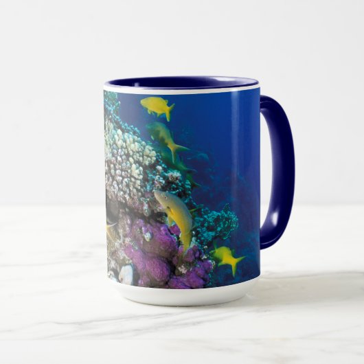 Goatfish Swarm Around Small Coral Mok (Voorkant rechts)