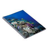 Goatfish Swarm Around Small Coral Notitieboek (Rechterzijde)