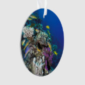 Goatfish Swarm Around Small Coral Ornament (voorkant)