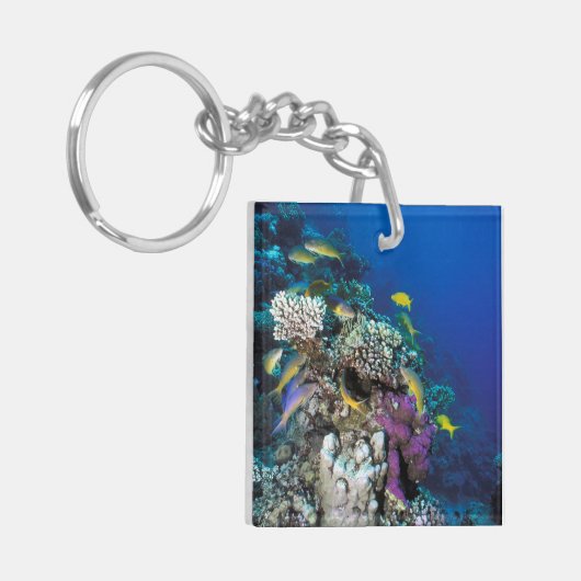 Goatfish Swarm Around Small Coral Sleutelhanger (Voorkant Links)