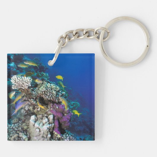 Goatfish Swarm Around Small Coral Sleutelhanger (Achterkant)