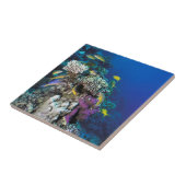 Goatfish Swarm Around Small Coral Tegeltje (Zijkant)