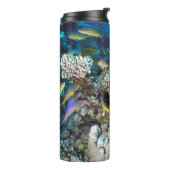 Goatfish Swarm Around Small Coral Thermosbeker (Gedraaid links)