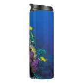 Goatfish Swarm Around Small Coral Thermosbeker (Geroteerd rechts)